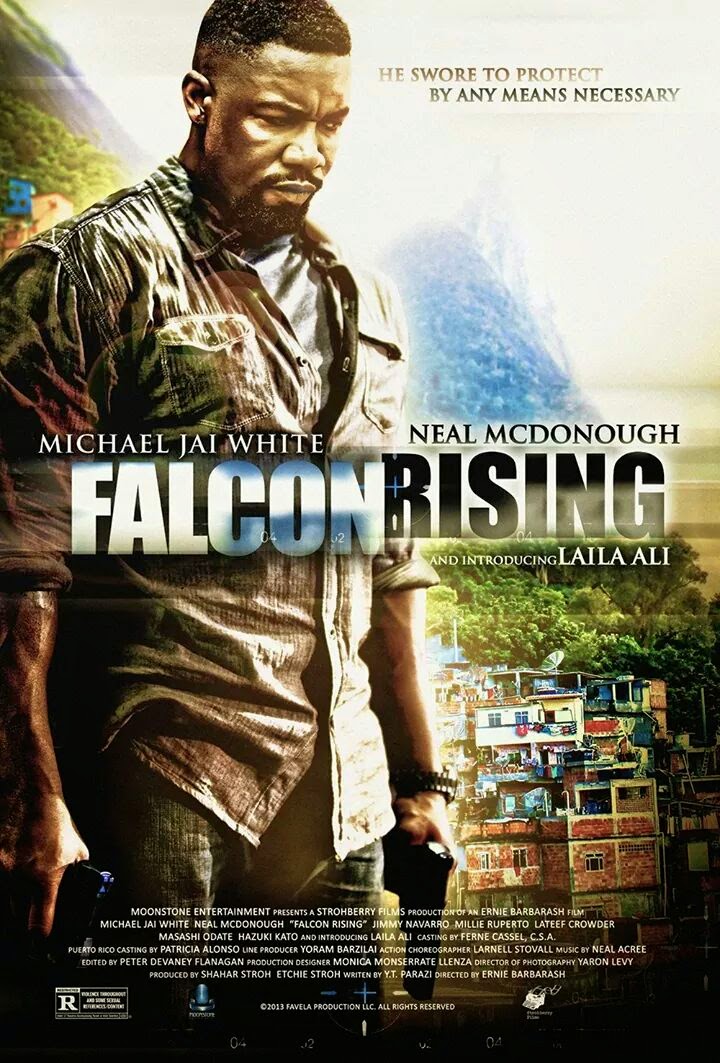 Falcon Rising