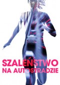 Szaleństwo na autostradzie