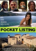 Pocket Listing