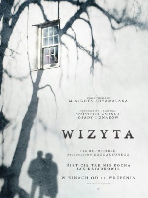 Wizyta