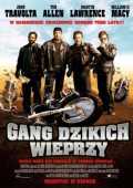 Gang dzikich wieprzy