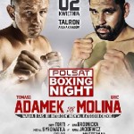 Gala Polsat Boxing Night 5 (Tomasz Adamek vs Eric Molina) (02.04.2016) cda vider