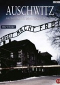 Auschwitz. Naziści i „ostateczne rozwiązanie” zalukaj online cda