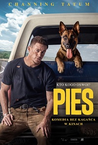 Pies (2022) cały film CDA