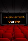 20 000 gatunków pszczół